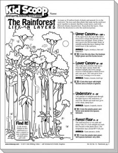 The Rainforest | Kid Scoop