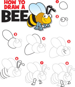 How to Draw a Bee | Kid Scoop