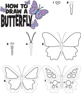 how do you draw a butterfly