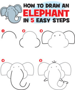 How to Draw an Elephant | Kid Scoop