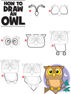 How to Draw an Owl | Kid Scoop